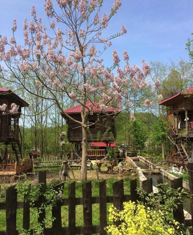 Zeni De Vore Serender & House Aparthotel Rize Bagian luar foto