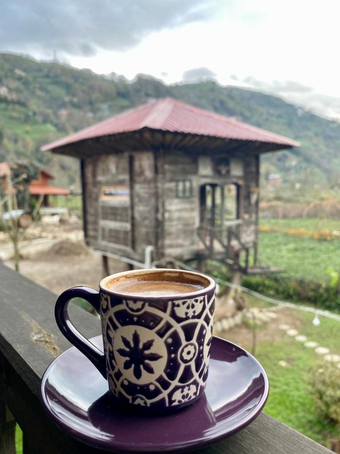 Zeni De Vore Serender & House Aparthotel Rize Bagian luar foto